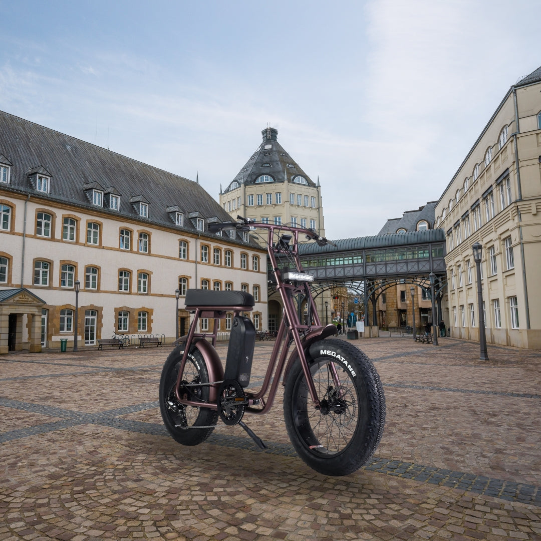 Subventions pour vélos électriques au Luxembourg