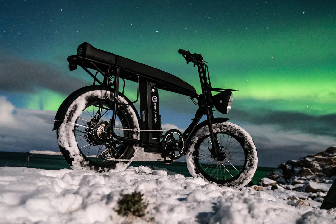 Com uma bicicleta eléctrica até ao Círculo Polar Ártico - Vanlife com a e-bike e Denis Wald