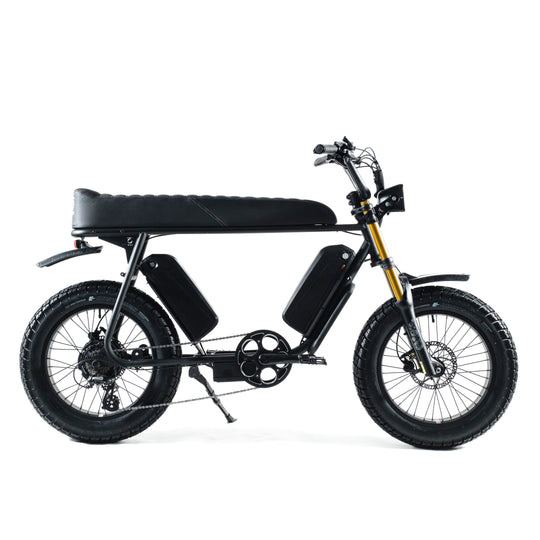 R2S e-fatbike 2 seater family bike