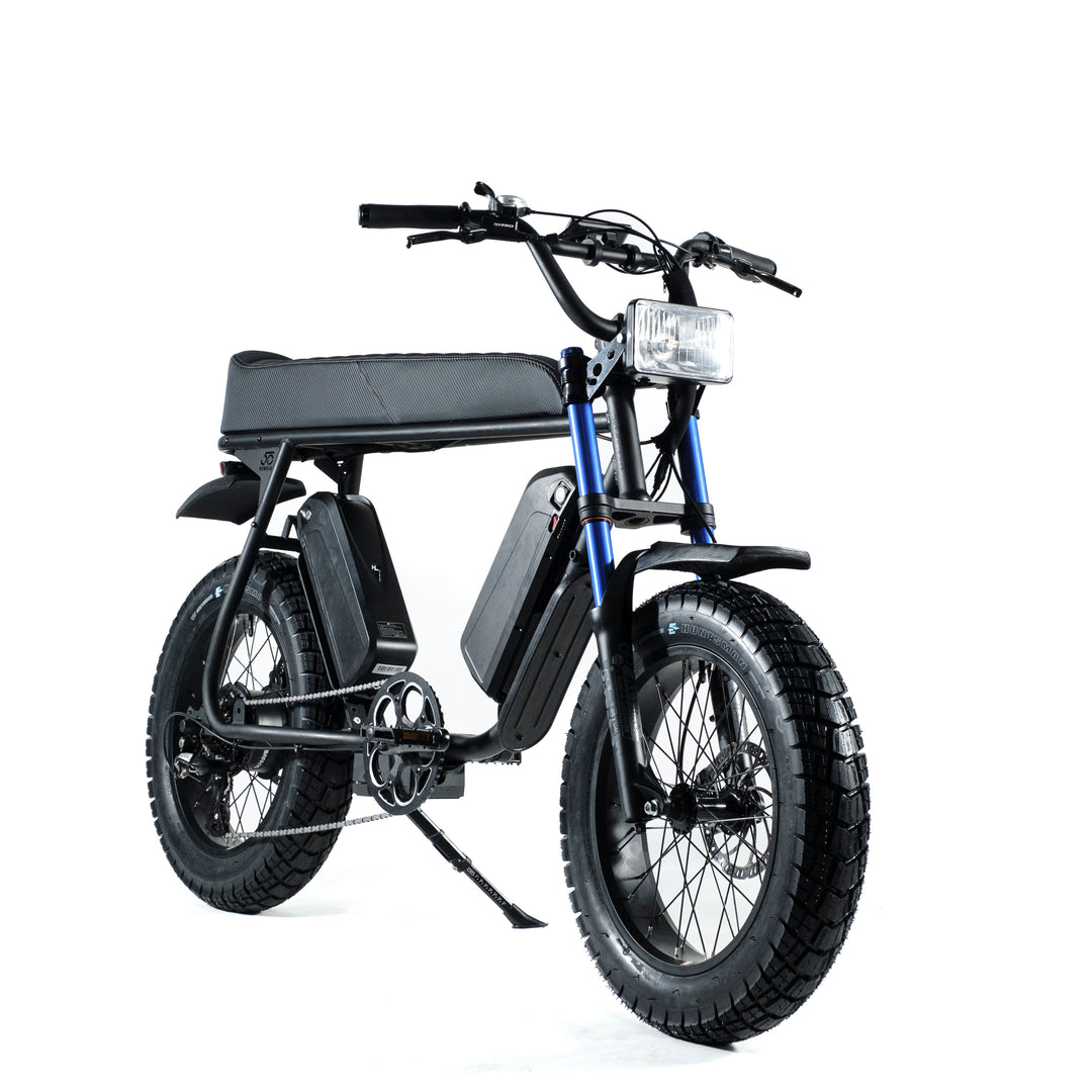 R2S e-fatbike 2 seater family bike
