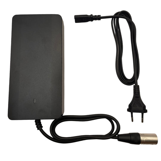 Charger for e-fatbikes