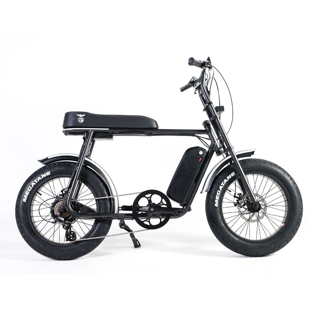 Luxshield E-Bike Universal 20-Teilig carbon/schwarz